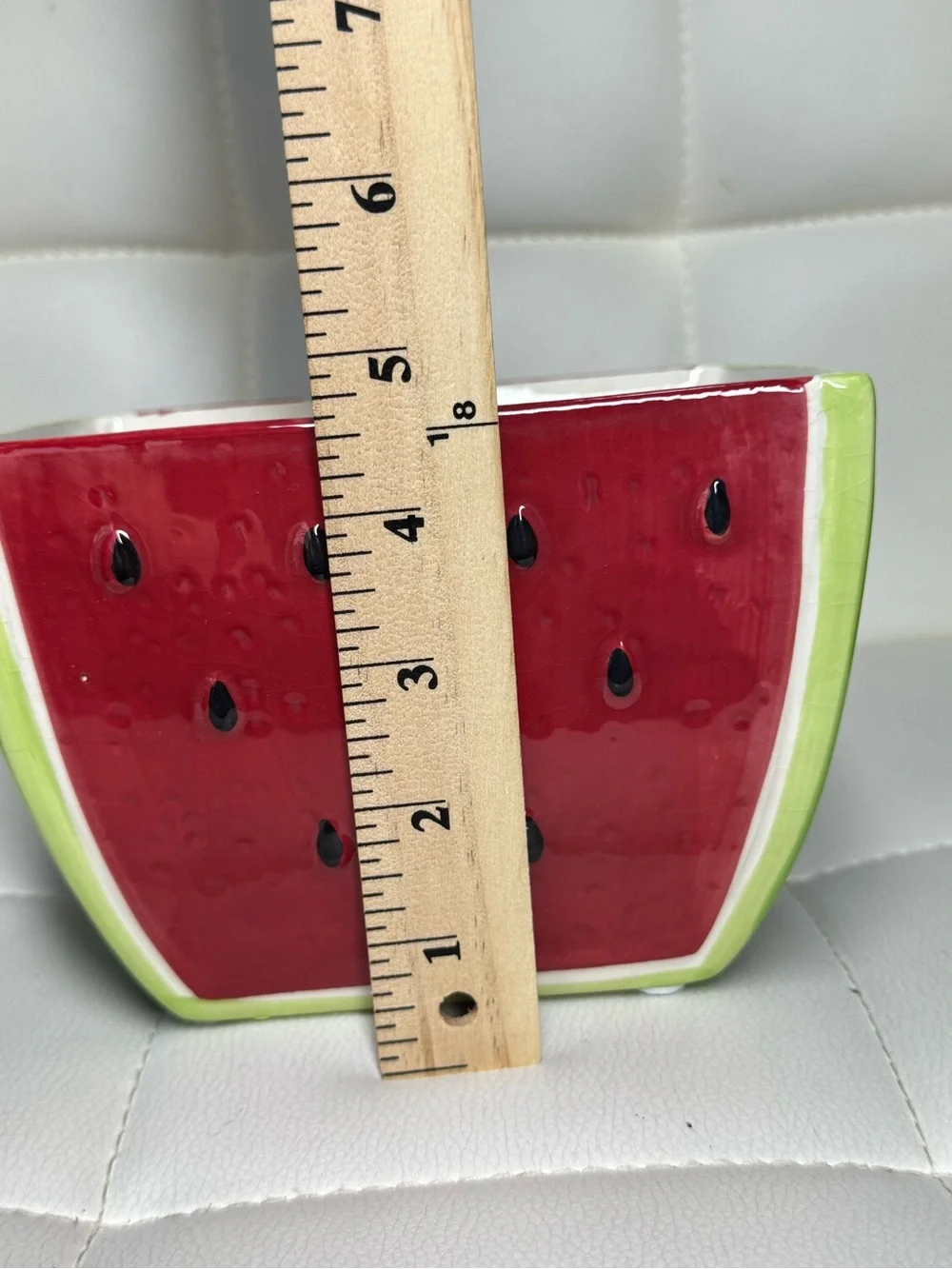 Playful Ceramic Watermelon Accent Vase - Red & Green